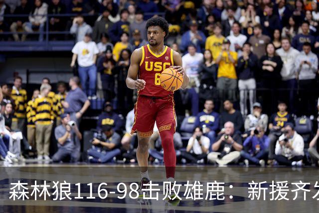 森林狼116-98击败雄鹿：新援齐发力，三球与希罗均有上佳表现